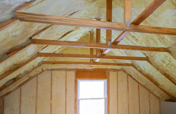 Best Insulation Maintenance and Repair in Belmont, VA