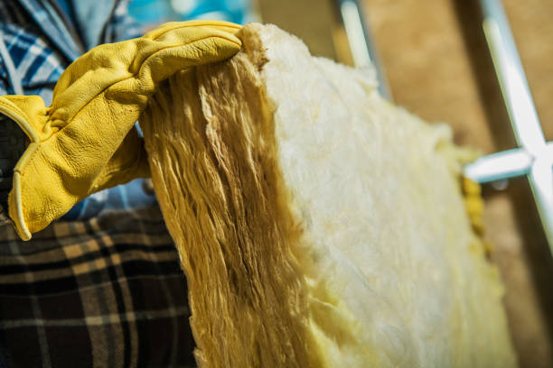 Professional Insulation Contractor in VA
